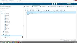 Summarizing Data with PROC MEANS DAT342 Profile
