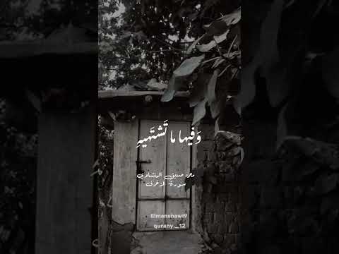 ي ط اف ع ل ي ه م ب ص ح اف م ن ذ ه ب و أ ك و اب الشيخ محمد صديق المنشاوي
