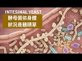 布拉氏酵母是益生菌 其他酵母是牆頭草
