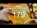Águila - Animal de Poder con el Código Sagrado 179