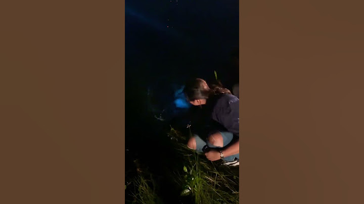 Bioluminescence 💙 Kavaru #youtubeshorts #youtube #follow #fun #kumbalanginights