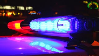 Canadian stabbing suspect caught by police