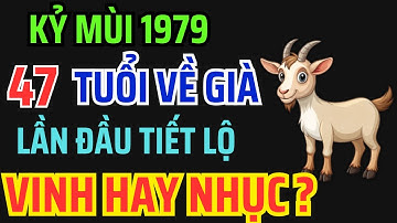 Tuổi Kỷ Mùi 1979 từ 47 tuổi về già: Giàu có hay Cơ cực, Bí mật hậu vận ai bỏ qua là mất phúc !