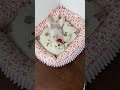 Stop Buying Expensive Beds This Multi Use Pet Mat is Perfect #pet #dog