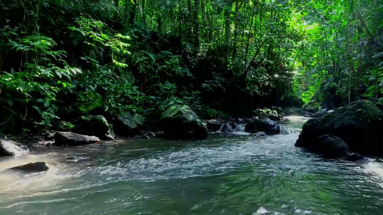 Tranquil Night River Ambience | Soothing Water Flow for Yoga and Mindfulness