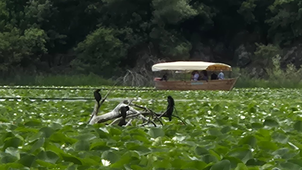 TYROLKA😁JEST LINA,JEST ADRENALINA.JEZIORO SZKODERSKIE,DURMITOR I JEZIORO CZARNE😍