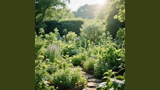 Mimpi Pada Sinar Jiwa