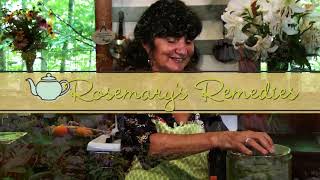 Rosemary Gladstar’s Favorite Homemade Root Beer