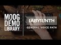 Labyrinth | General Voice Path