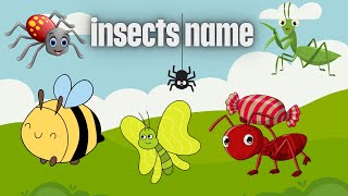 "Bug Buddies: Exploring the Tiny World of Insects for kids"