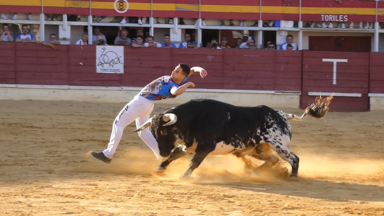 CORTES MEDINA DEL CAMPO 2023