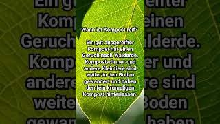 Wann Ist Kompost Reif? #Garten #Gartentipps #Gartenarbeit #Gemüsegarten #Shortsmitmarietta