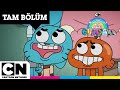 GUMBALL Beyin TAM BÖLÜM Cartoonnetworkturkiye 