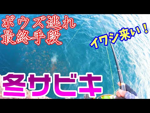 サビキ釣り 冬のサビキ釣りでイワシを釣りたい 全力でボウズ逃れしてみた結果 釣り動画