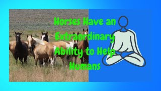 1 HOUR of AMAZING HORSES From Around the World - Best Relax Music, Meditation, Stress Relief, Calm