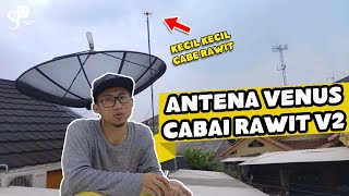 Venus Chili Pepper Antenna V2 Review | Much Better Than the Previous Version? screenshot 5