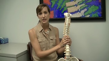 Posture and Desk Ergonomics Part 1