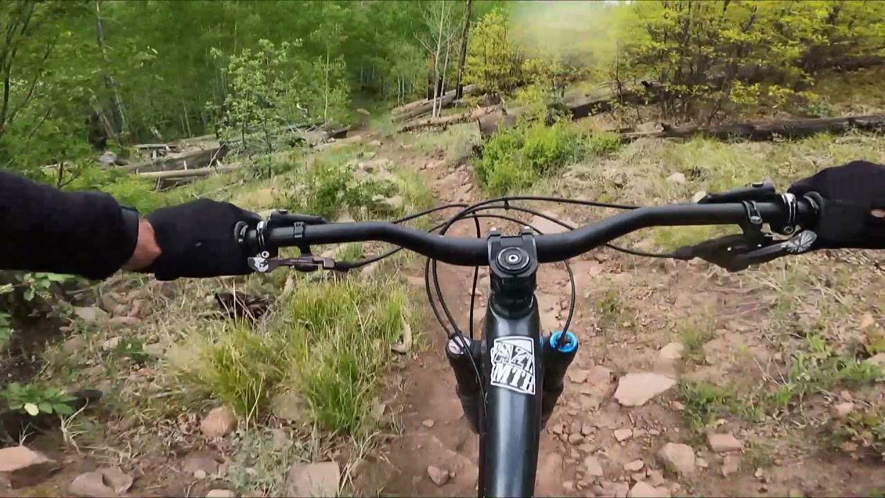 Haflin Creek Durango CO