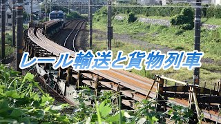 2022/08/29 今日の8090レ(レール輸送)日鐵チキ21Bは最も長い編成 貨物列車1071レ