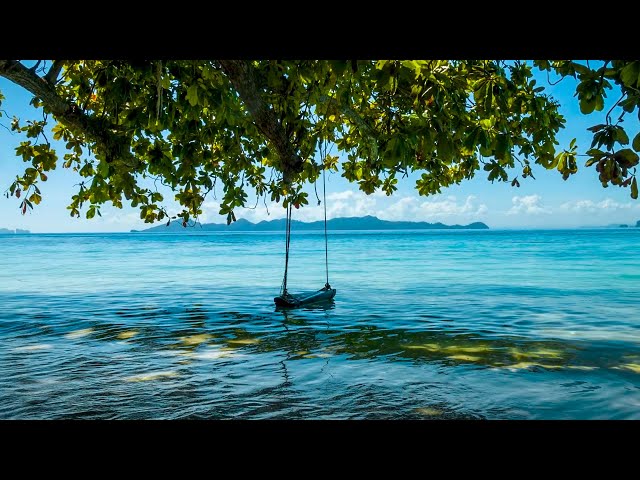 Nature white noise , wind, ocean waves and water sounds