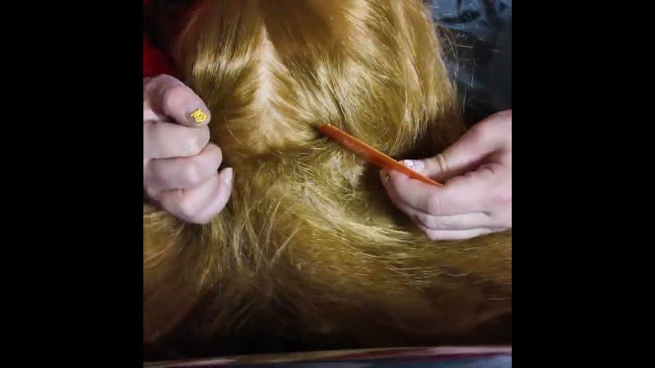 scalp scratching 
