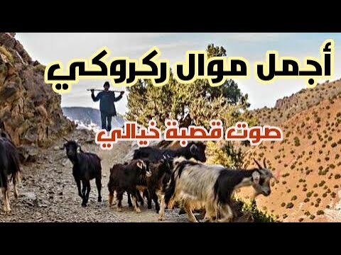 أجمل موال شاوي من قمم جبال قفصة و سيدي بوزيد