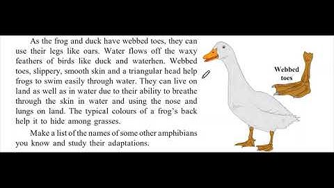 Std 7th. General Science | Lesson 1| Reading for Semi-English| Paragraph-1 Page-5