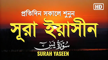 প্রতিদিন সকালে শুনুন - সূরা ইয়াসীন |( سورة يس) Surah Yasin | সকালের সেরা আমল | By ALAA AQEL