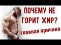 Почему не получается Похудеть сразу? Калории, Инсулин, Диеты