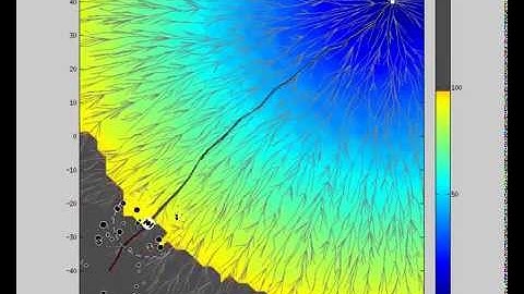RRTX: Robot in R^2 Dynamic Environment (Forest 3)