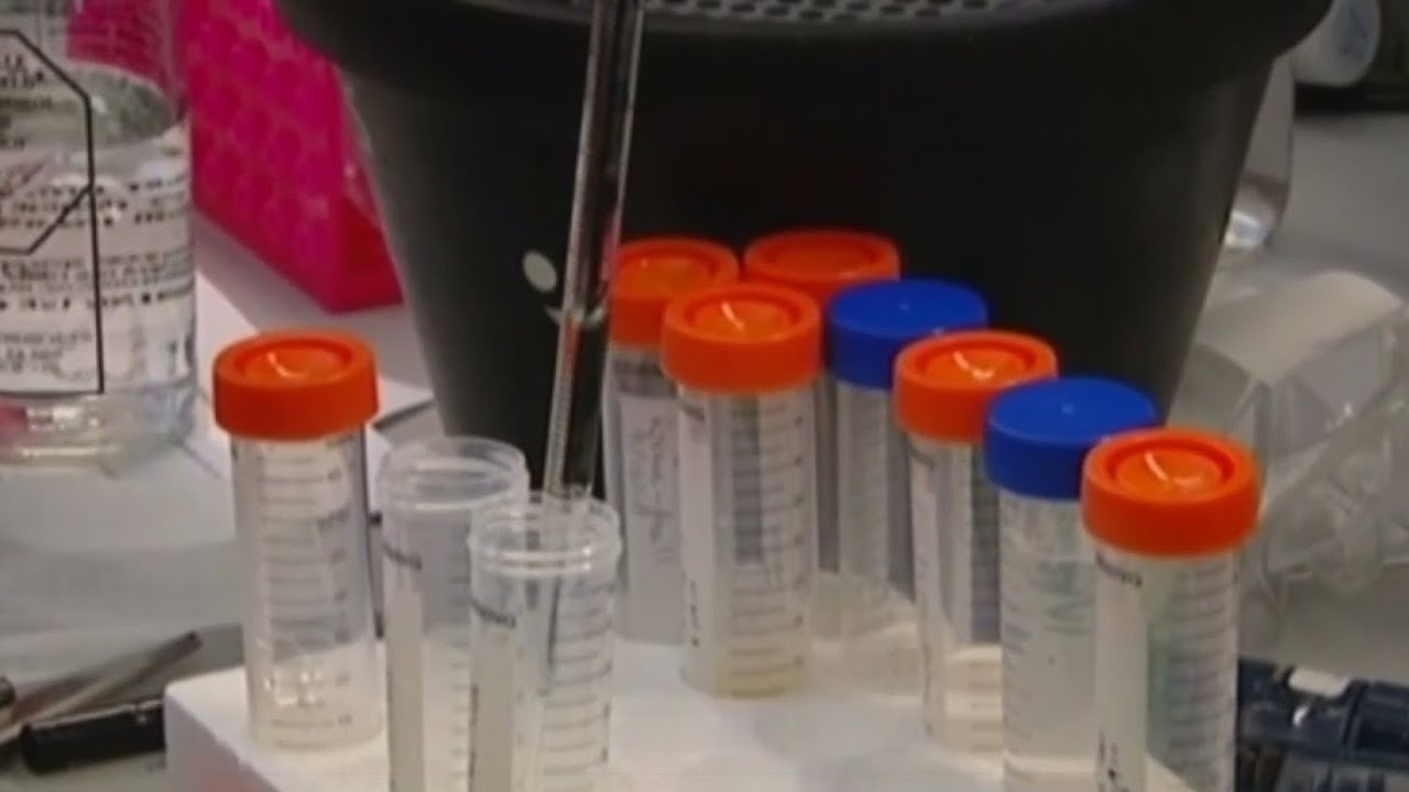 52-year-old Sacramento County cold case solved with new technology