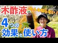 知らなかった！！！驚くべき木酢液の４つの効果！