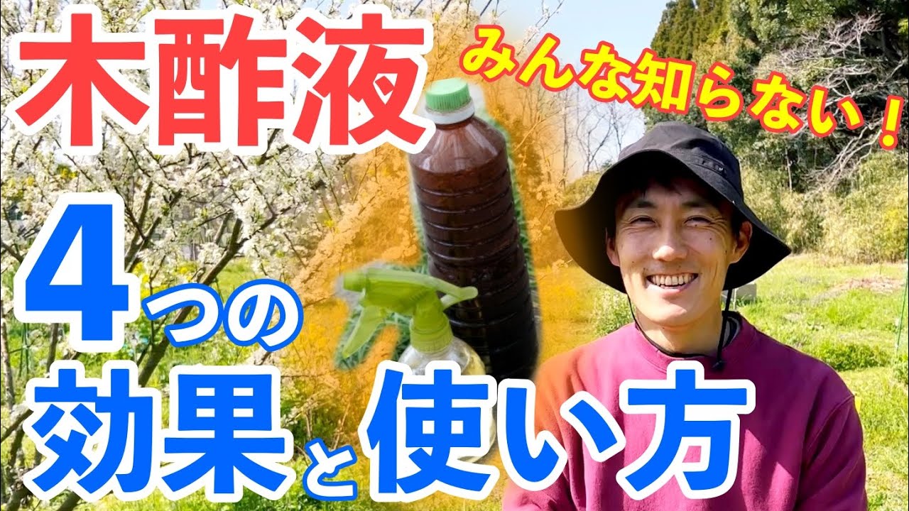 知らなかった！！！驚くべき木酢液の４つの効果！