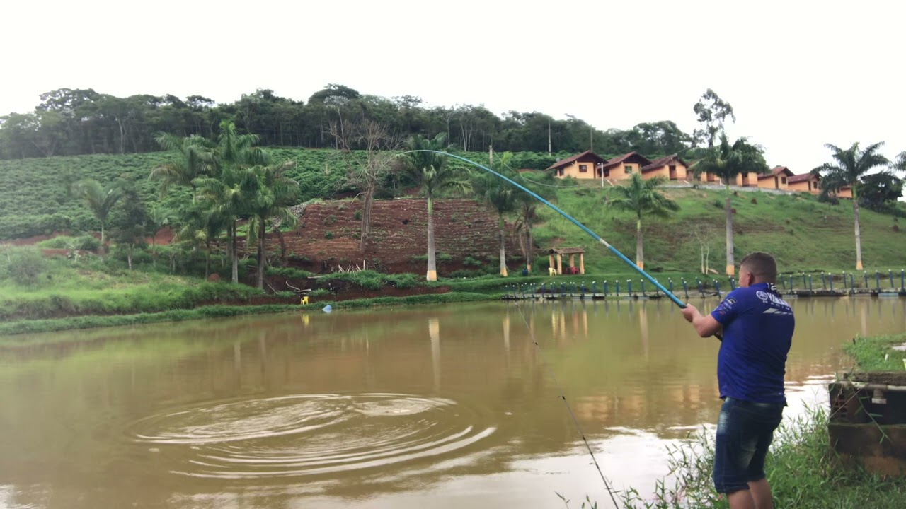 Essa foi certeira 🐟🐟🐳