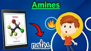 | Amines| Class 12th| Chemistry chapter 9| Best NOTES | @Edustudy_point