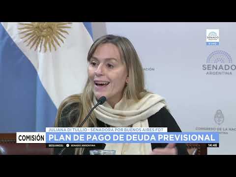 SDORA. JULIANA DI TULLIO 2 - COMISIÓN DE TRABAJO 14-06-22