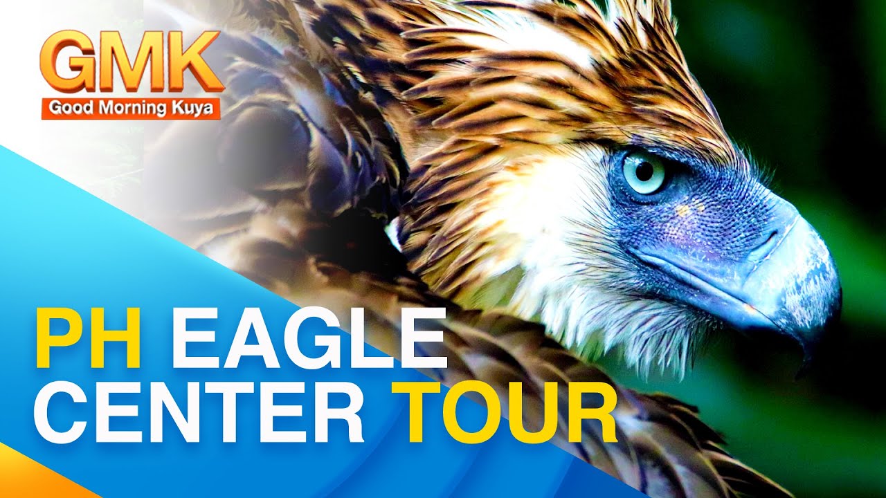 Travel guide to eagle conservation facility in Davao City  | Trip ko ‘To