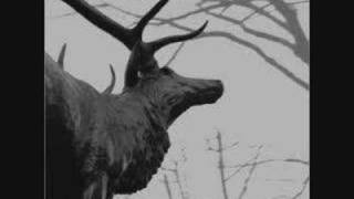 Watch Agalloch The Great Cold Death Of The Earth video