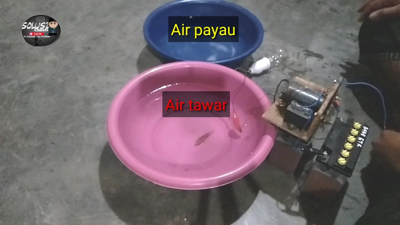 REAKSI SETRUM IKAN AIR TAWAR DI AIR PAYAU PADA IKAN