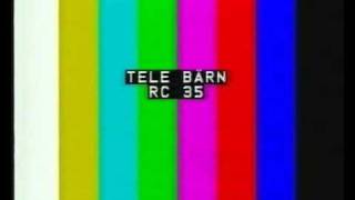 TeleBärn Testbild (ca. Januar 1995)