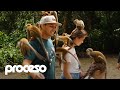 Turismo ecológico en el Amazonas