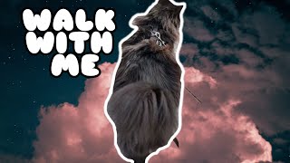 Taking my cat for a walk by Alex and Misha 313 views 2 years ago 11 minutes, 1 second