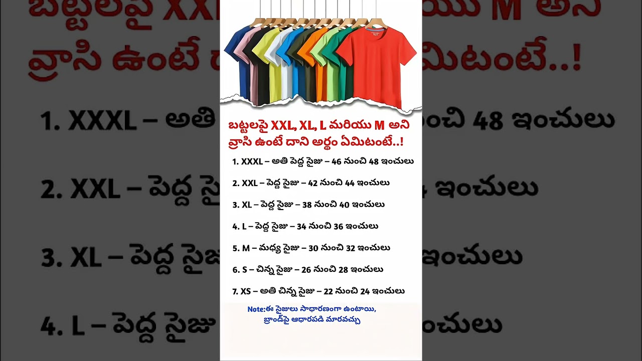 T shirt size guide | what xxl ,XL ,L ,m ,s, xs Mean | inches chat with explained | clothing size inf