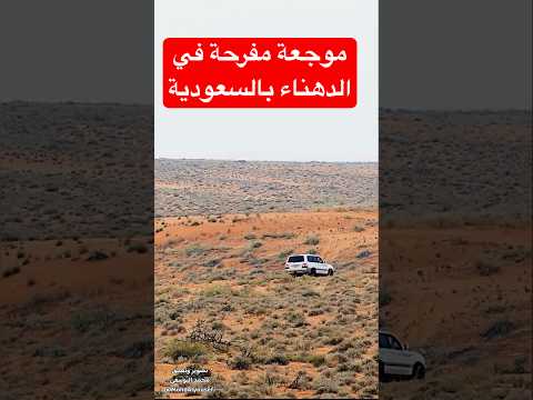 مقارنة موجعة مفرحة في صحراء الدهناء محميات في السعودية تتجاوز سريعا مشكلة استنزاف الحياة البرية