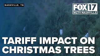 Tennessee families return to real trees amid higher artificial tree costs