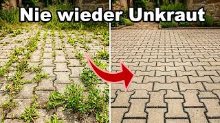 Nie Wieder Unkraut Kratzen Das Funktioniert Wirklich