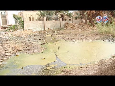 أخبار اليوم الاهمال يحول كابريتاج حلوان الي خرابة