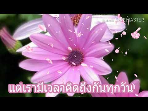 วัยทองรำลึก - ว่าน  ธนกฤต