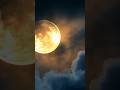 Surah Dhuha و ضحي Beautiful Recitation of the Quran #quranrecitation #islamicvideo