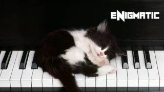 Maroon 5 -  Don't Wanna Know (Fredd Remake) [Instrumental]